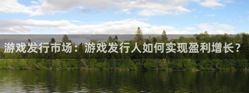 im电竞是什么：游戏发行市场：游戏发行人如何实现盈利增长？