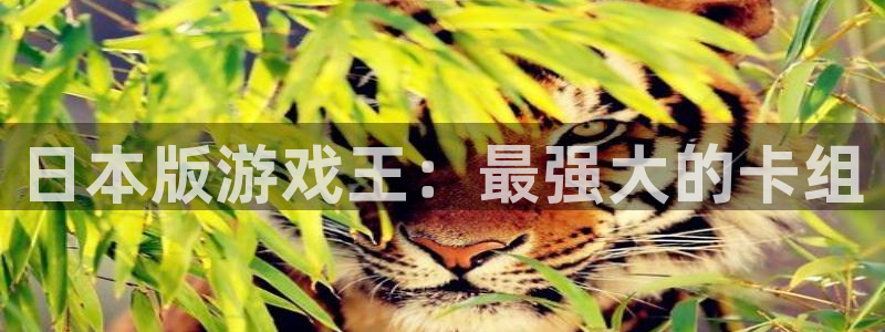 广州im电竞网络科技有限公司招聘