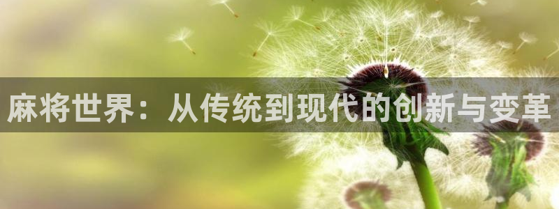 im电竞户外：麻将世界：从传统到现代的创新与变革
