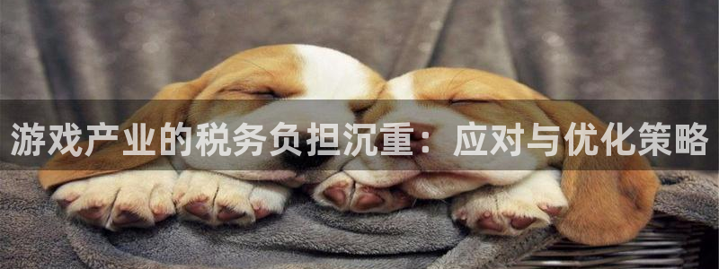 im电竞官网注册平台怎么样可靠吗：游戏产业的税务负担沉重：应对与优化策略