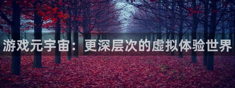 im电竞商标：游戏元宇宙：更深层次的虚拟体验世界