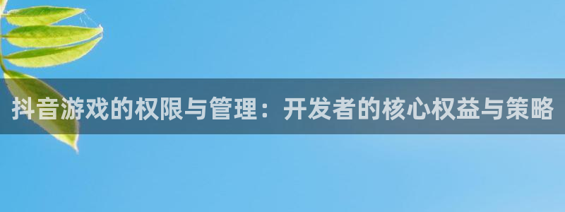 im电竞官网登录注册账号失败：抖音游戏的权限与管理：开发者的核心权益与策略