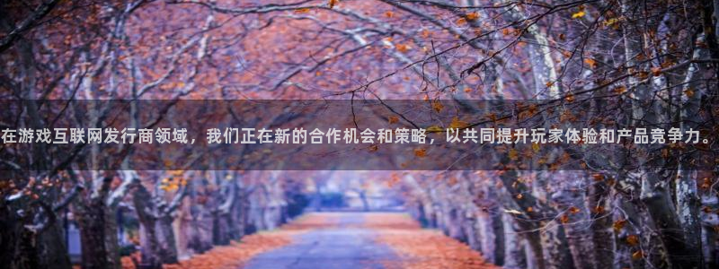 im电竞实业投资(东莞)有限公司