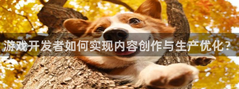 im电竞官网注册平台怎么注册账号：游戏开发者如何实现内容创作与生产优化？