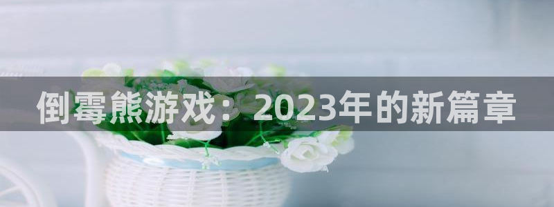 im电竞官网登录注册失败怎么回事：倒霉熊游戏：2023年的新篇章