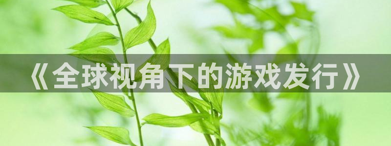 广东im电竞营销策划有限公司：《全球视角下的游戏发行》