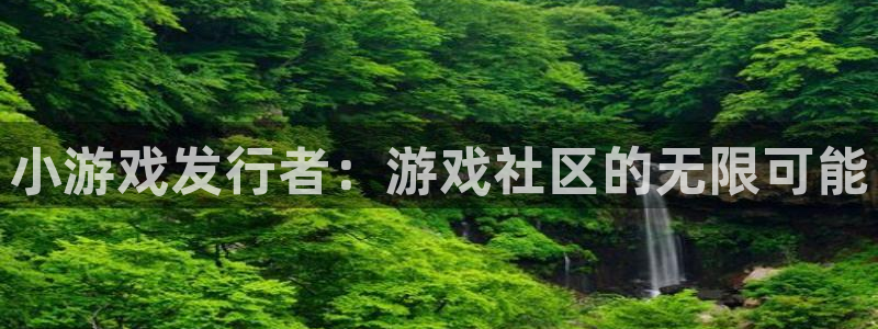 im电竞子文化创意加好友：小游戏发行者：游戏社区的无限可能