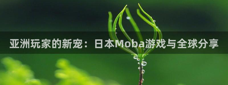 东莞im电竞信息科技有限公司
