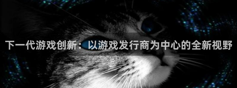 im电竞官网注册方法有哪些呢：下一代游戏创新：以游戏发行商为中心的全新视野