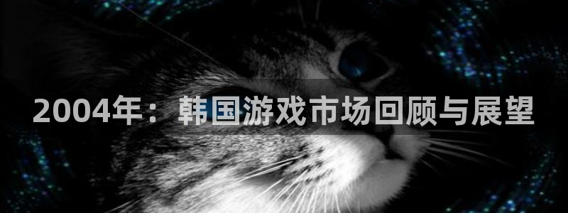 im电竞品牌logo