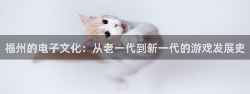 im电竞超纯啤酒怎么样