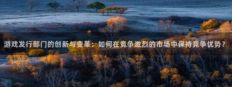 im电竞电子商务有限公司怎么样