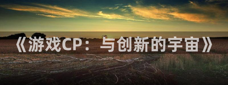 长沙im电竞子电子商务有限公司：《游戏CP：与创新的宇宙》