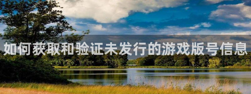 im电竞龙：如何获取和验证未发行的游戏版号信息