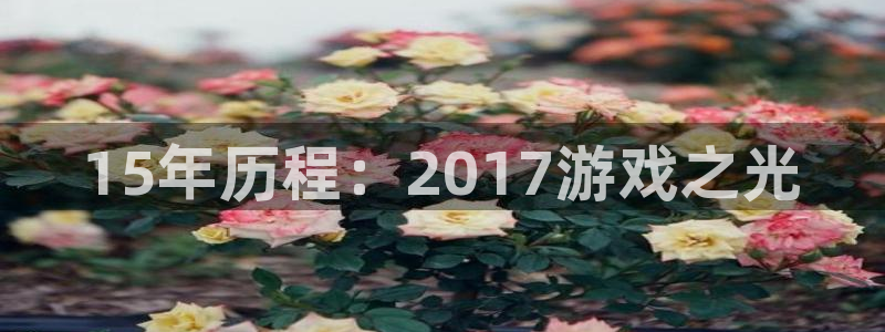 im电竞官网代理注册：15年历程：2017游戏之光