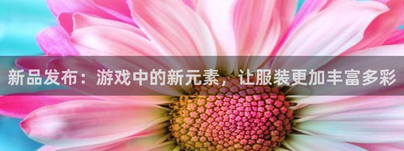 深圳市im电竞科技有限招聘公司