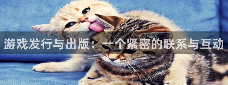 im电竞官网注册平台怎么样啊：游戏发行与出版：一个紧密的联系与互动