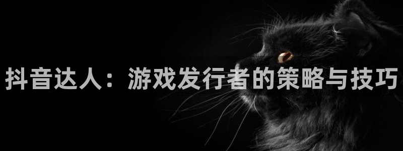 陕西im电竞子文化创意有限公司1