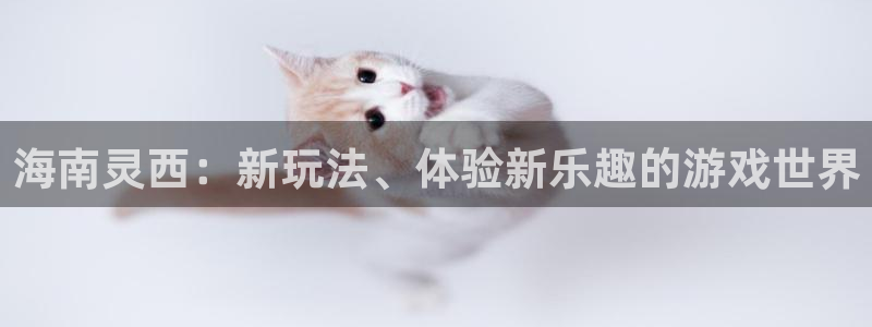 im电竞电子商务怎么样